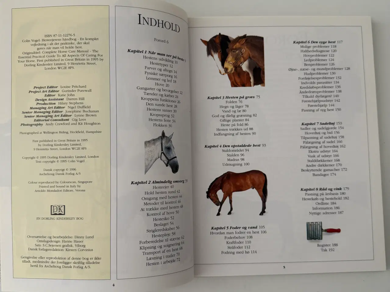 Billede 3 - Hesteejerens Håndbog - Ridehåndbog