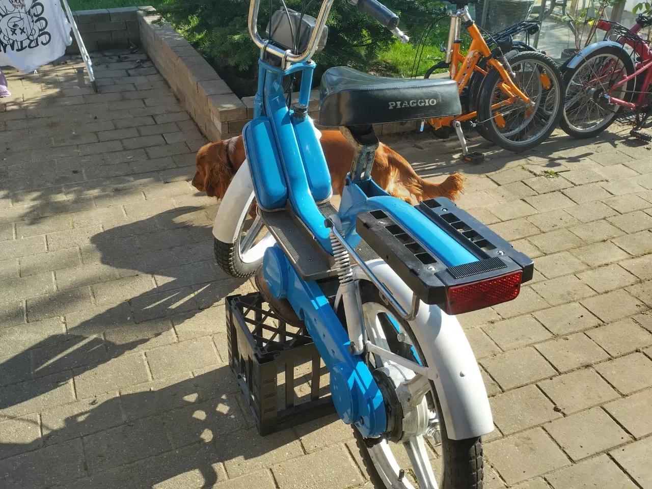 Billede 5 - Vespa Bravo knallert