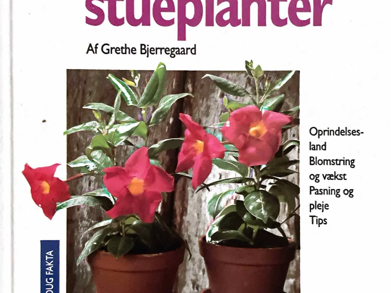 Billede 1 - 100 populære stueplanter /Grethe Bjerregaard