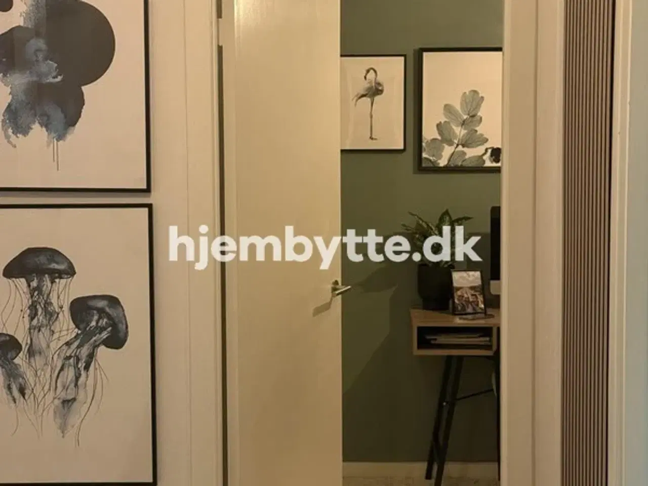 Billede 11 - Hjembytte - Øresundsvej