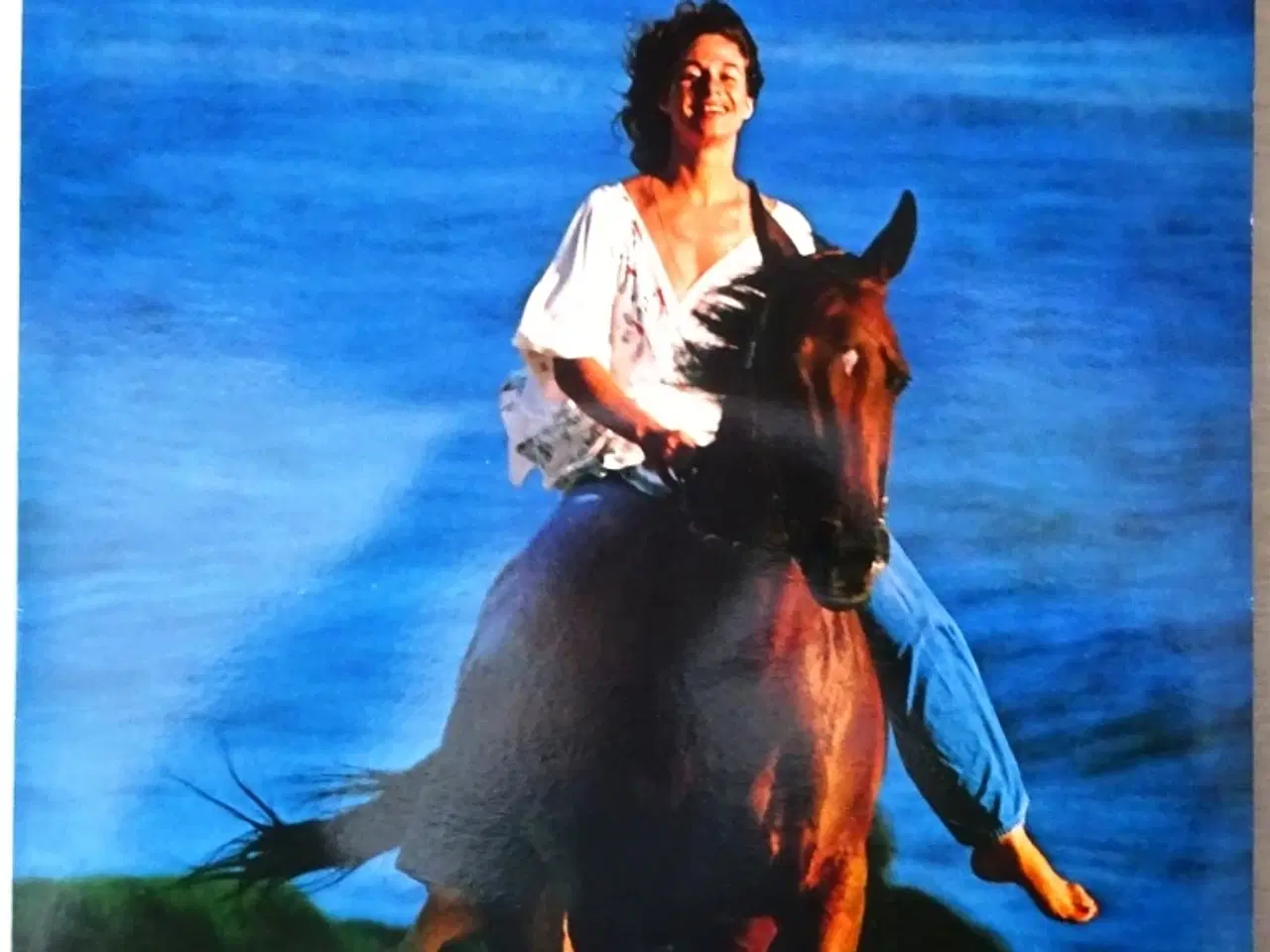 Billede 15 - Vinyl LP. 