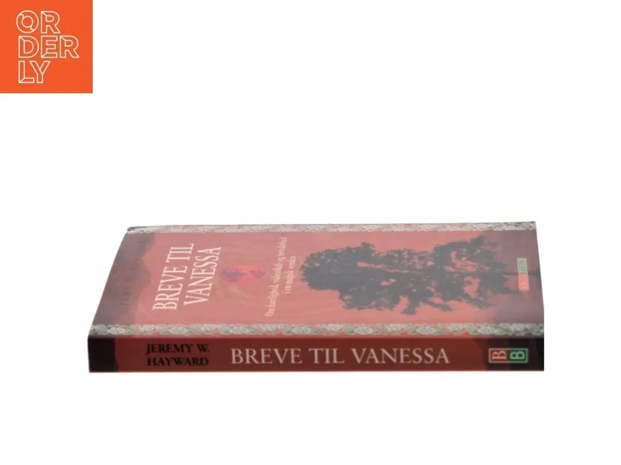 Billede 2 - Breve til Vanessa : om kærlighed, videnskab og bevidsthed i en magisk verden af Jeremy W. Hayward (Bog)