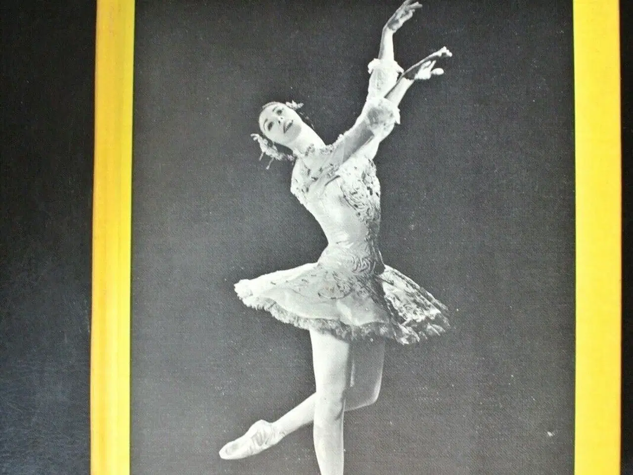 Billede 1 - eyes on the ballet, by kathrine sorley walker, emn