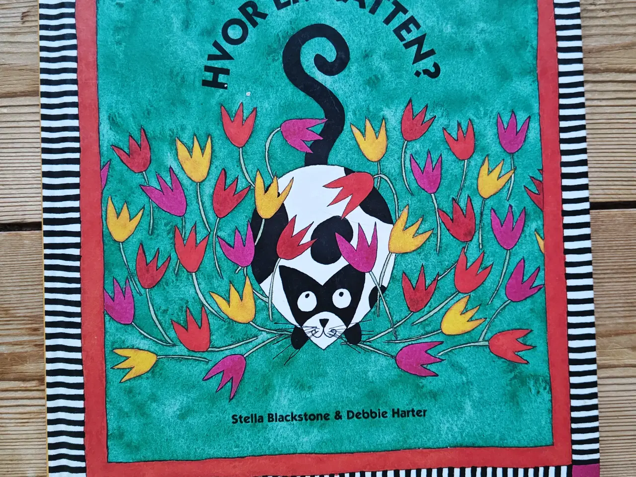 Billede 1 - Hvor er katten ? Findebog