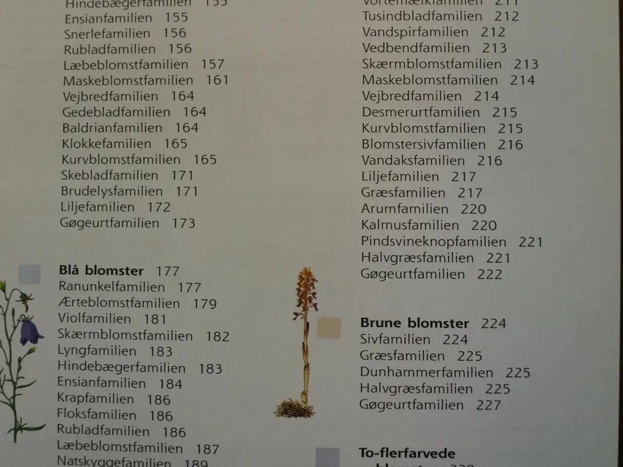 Billede 3 - den store florabog, af kirsten bruhn møller og knu