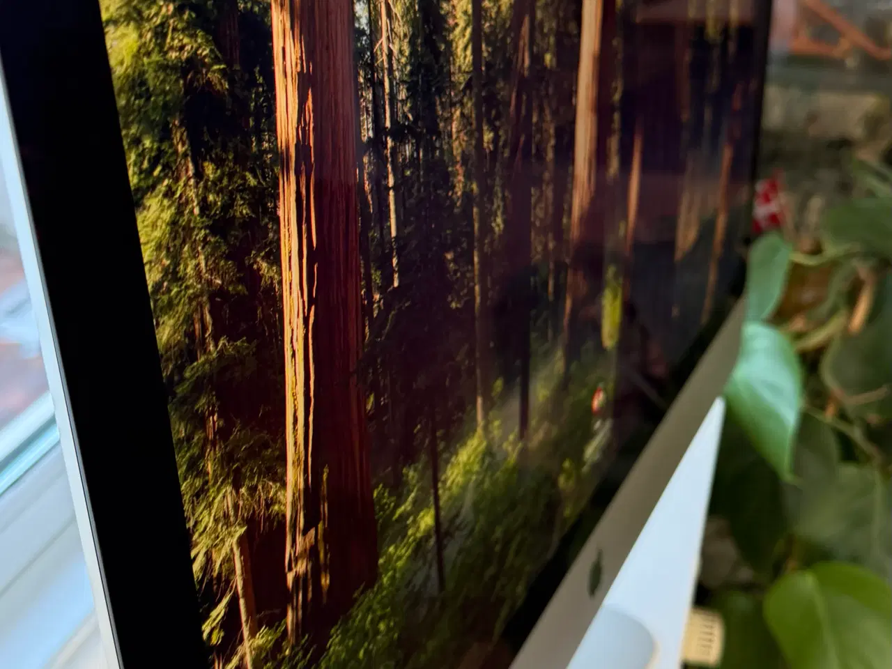 Billede 2 - iMac 27” 5K (2019) i5 – 32 GB RAM – Klar til brug