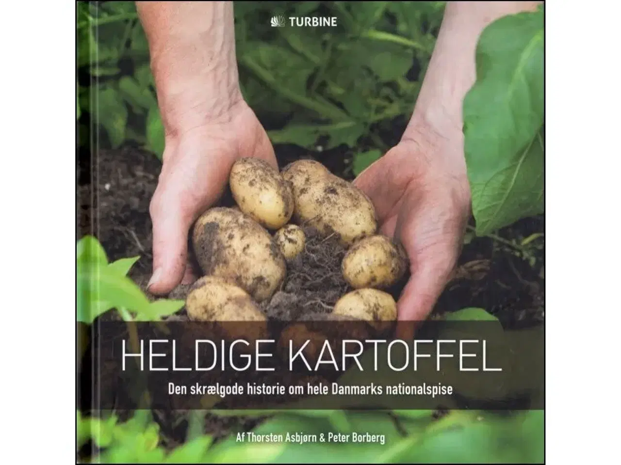 Billede 1 - Heldige Kartoffel