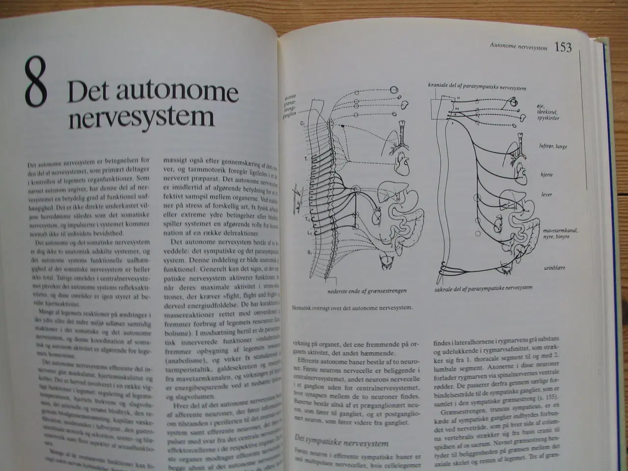 Billede 7 - Franz Bierring & Lars Garby. Anatomi & Fysiologi