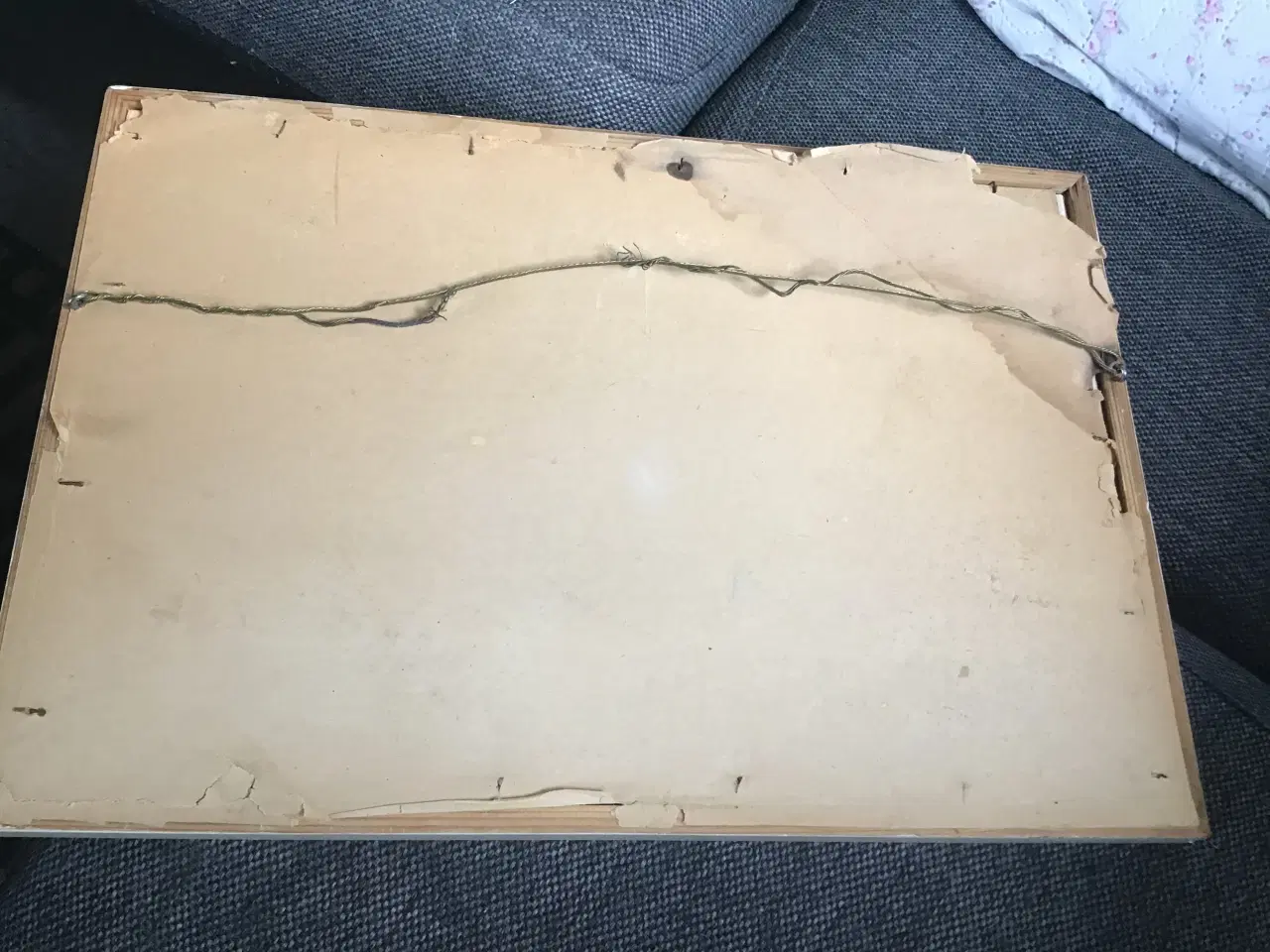 Billede 4 - Kultegning lavet af Steenholt fra 1955