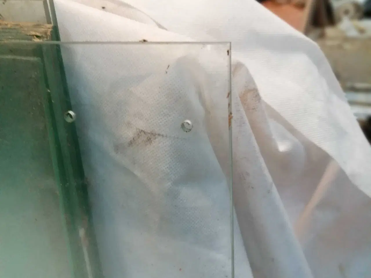 Billede 6 - Glashylder med afrundede kanter 