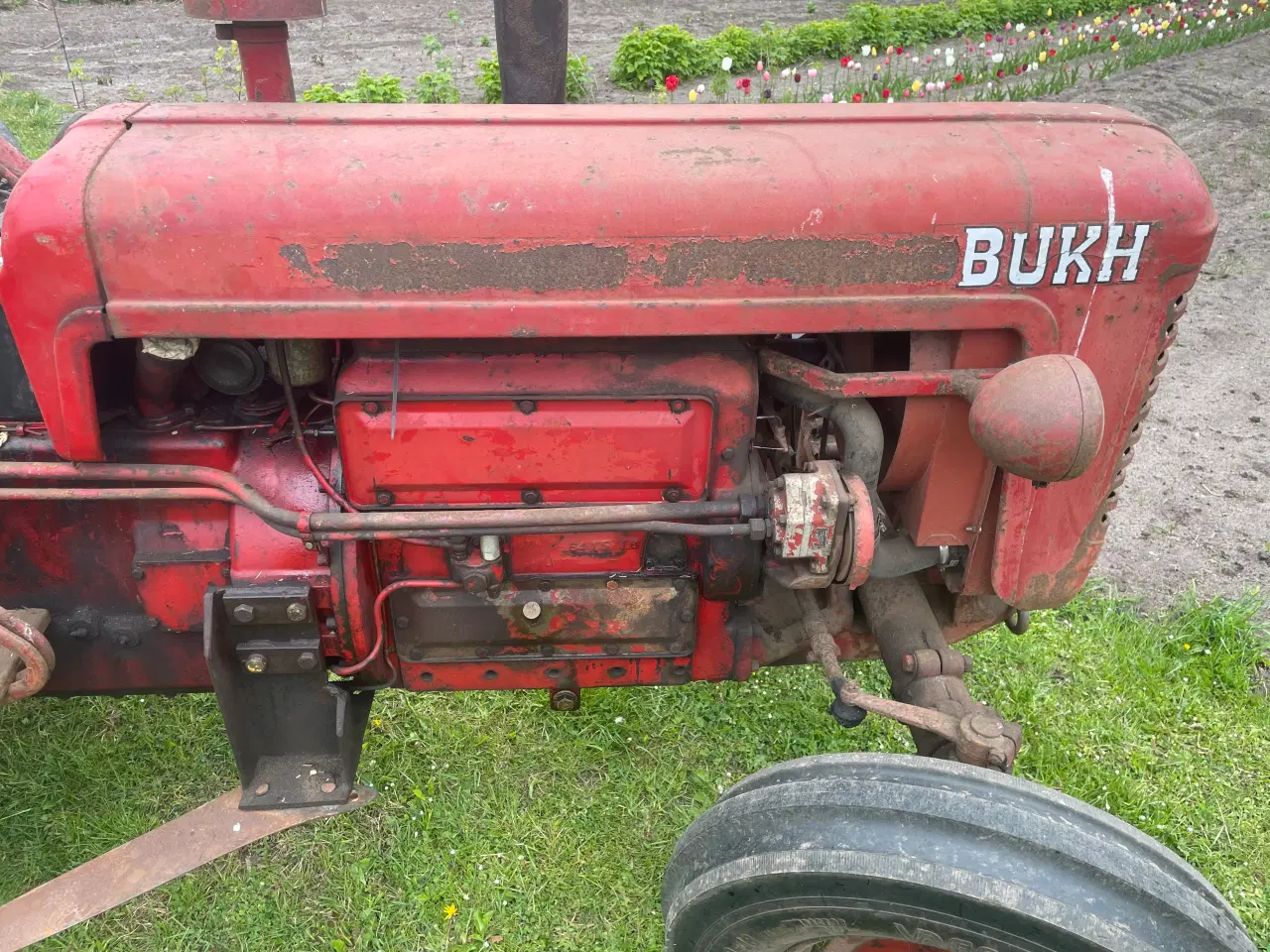 Billede 6 - Veteran traktor,Bukh 403
