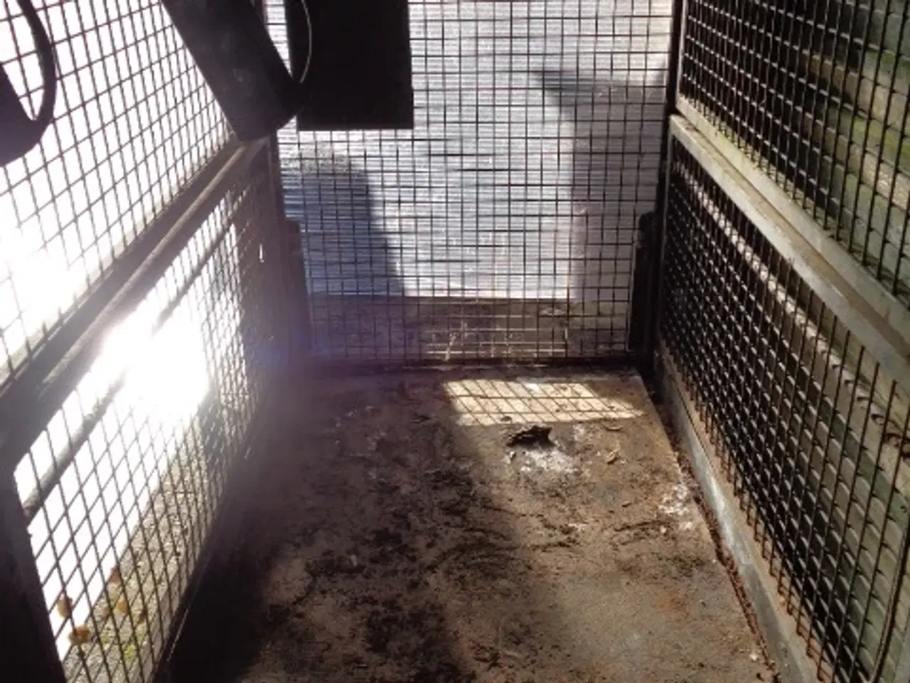 Billede 3 - To halve bure