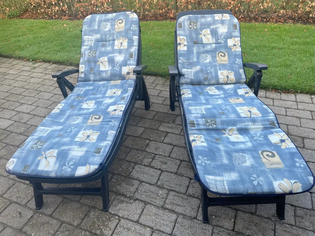 Billede 1 - Solvogne - Jardin pr stk. med hynde