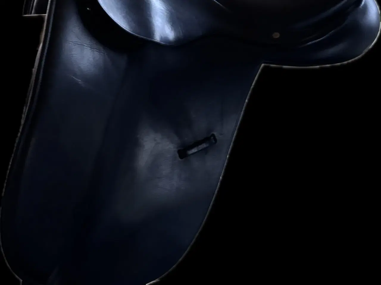 Billede 2 - Trainers Mariel Dressursadel 17”