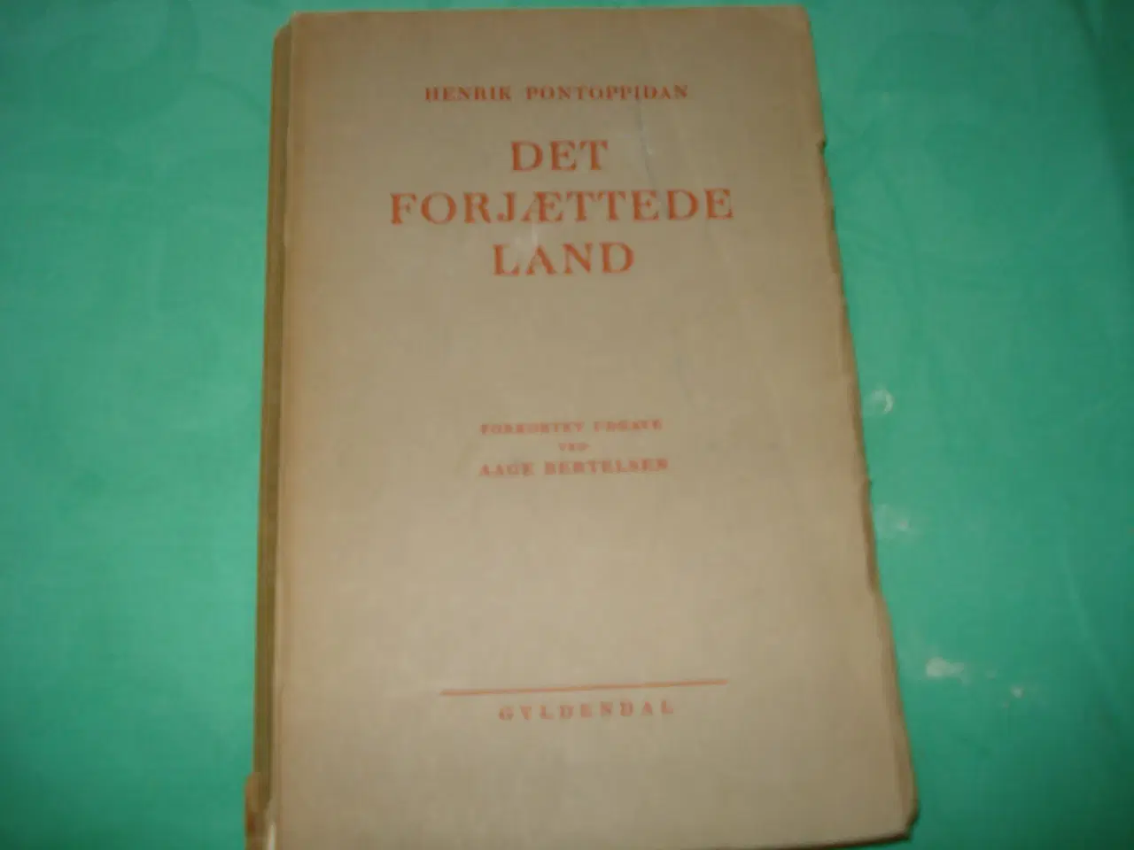 Billede 1 - Det Forjættede Land