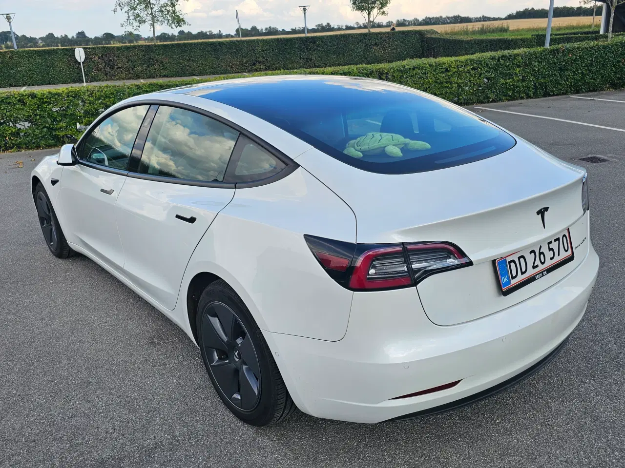 Billede 9 - Tesla 3, Long range 4-hjulstræk og træk.