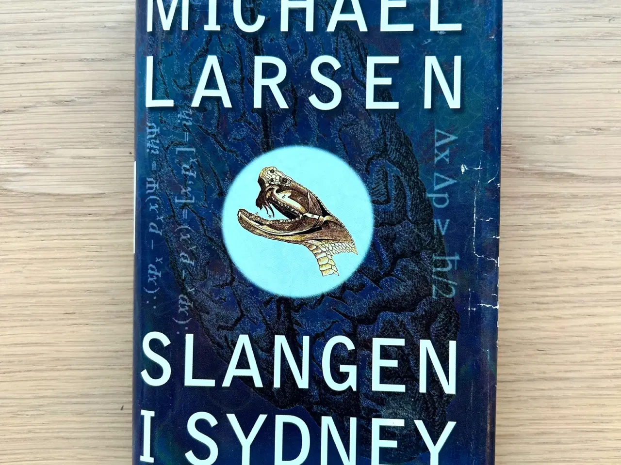Billede 1 - Slangen i Sydney af Michael Larsen