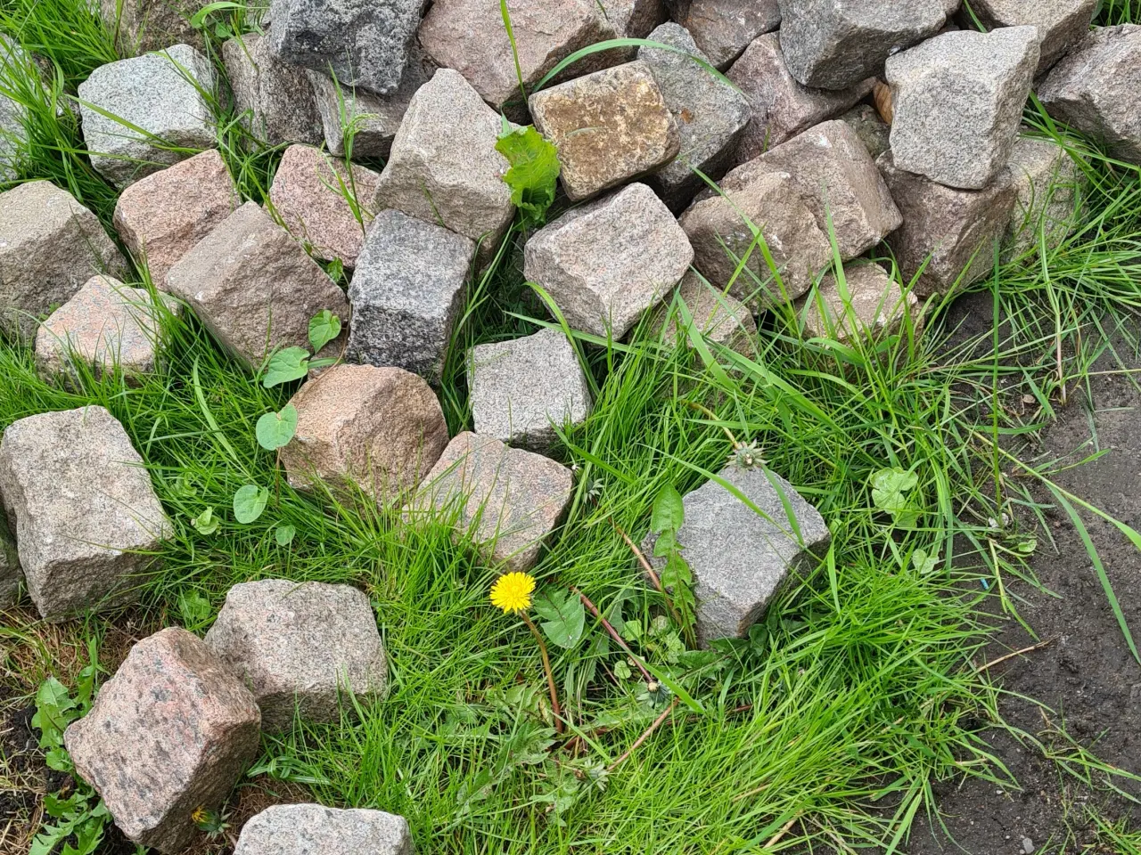 Billede 1 - Granitsten - ca. 200 stk. kan afhentes gratis