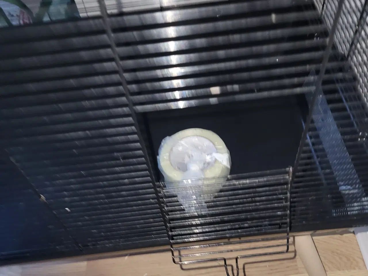 Billede 3 - Kæledyrstilbehør sælges