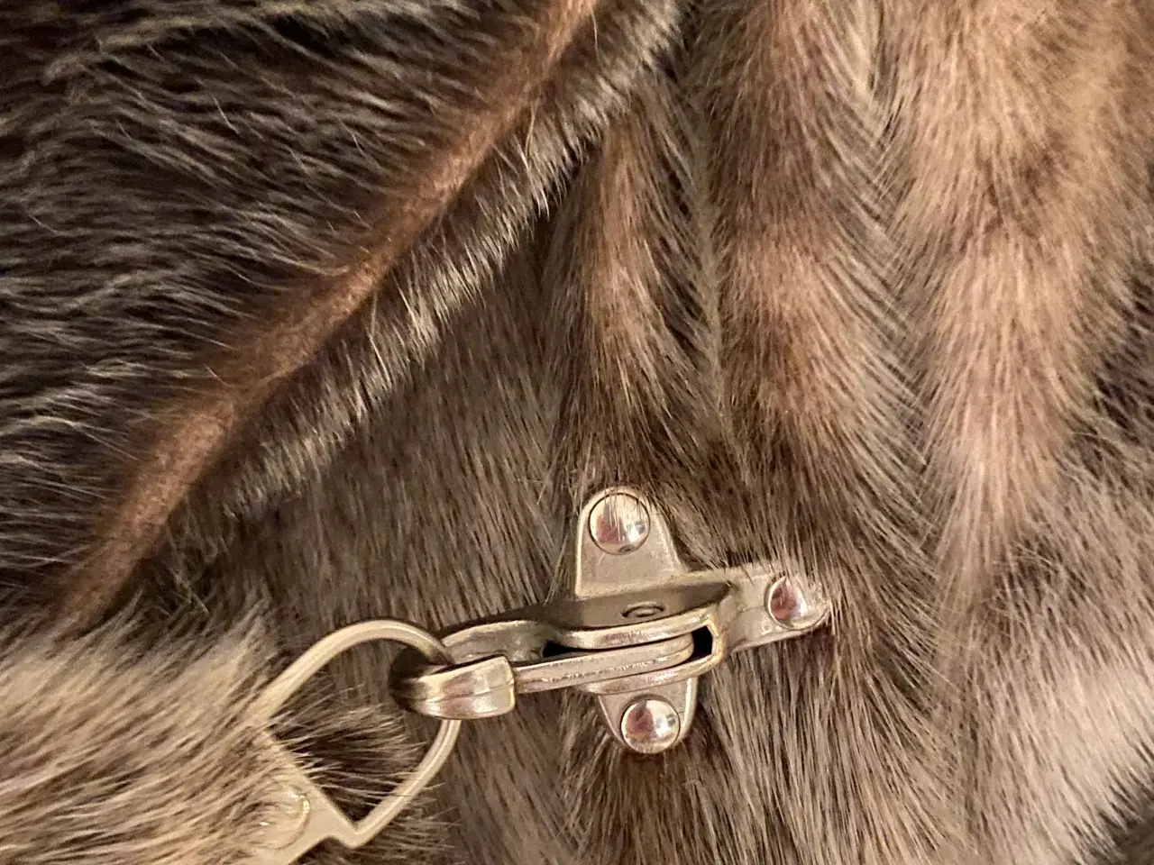 Billede 2 - Sælskind frakke 3/4 lang