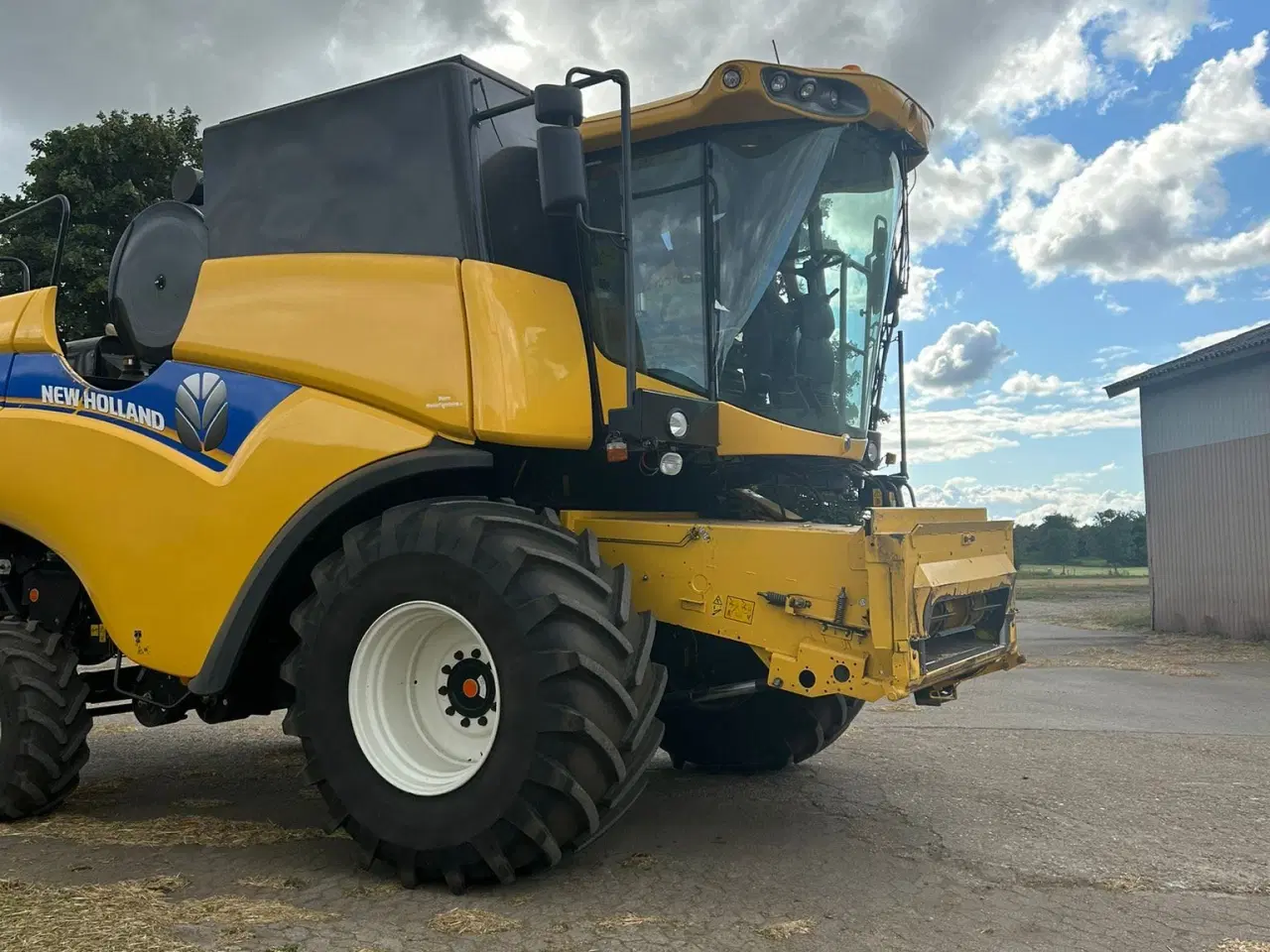 Billede 4 - Majetærsker 