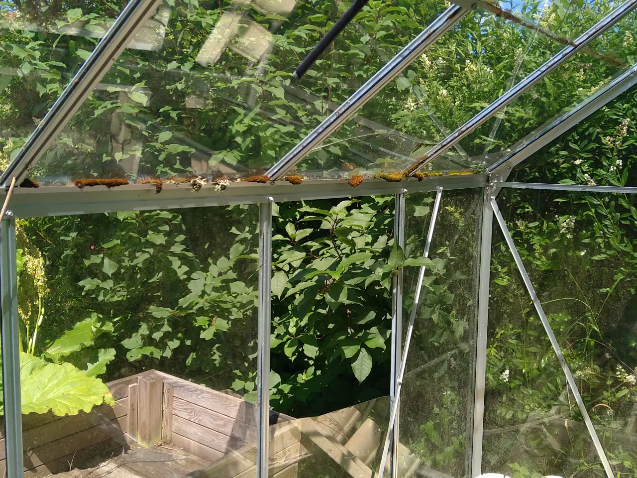 Billede 3 - Drivhus 4,8 m2 aluminium og glas