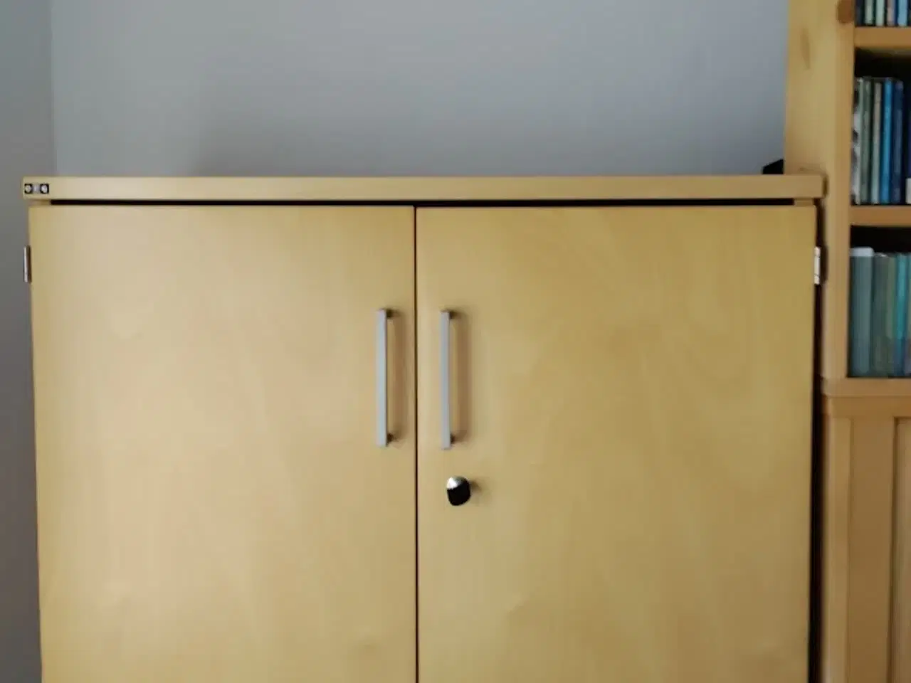 Billede 1 - skab sælges