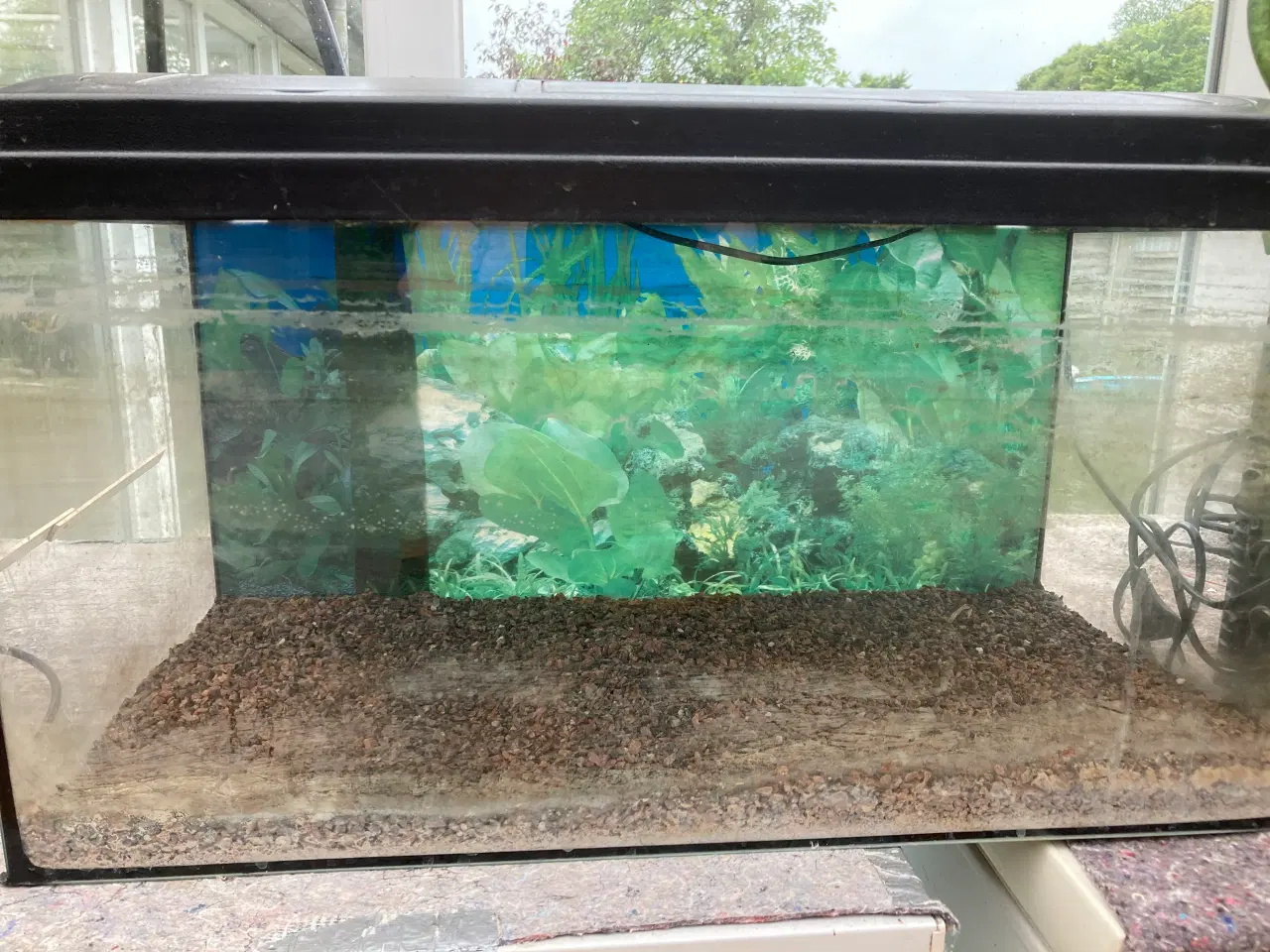 Billede 1 - Akvarium m pumpe
