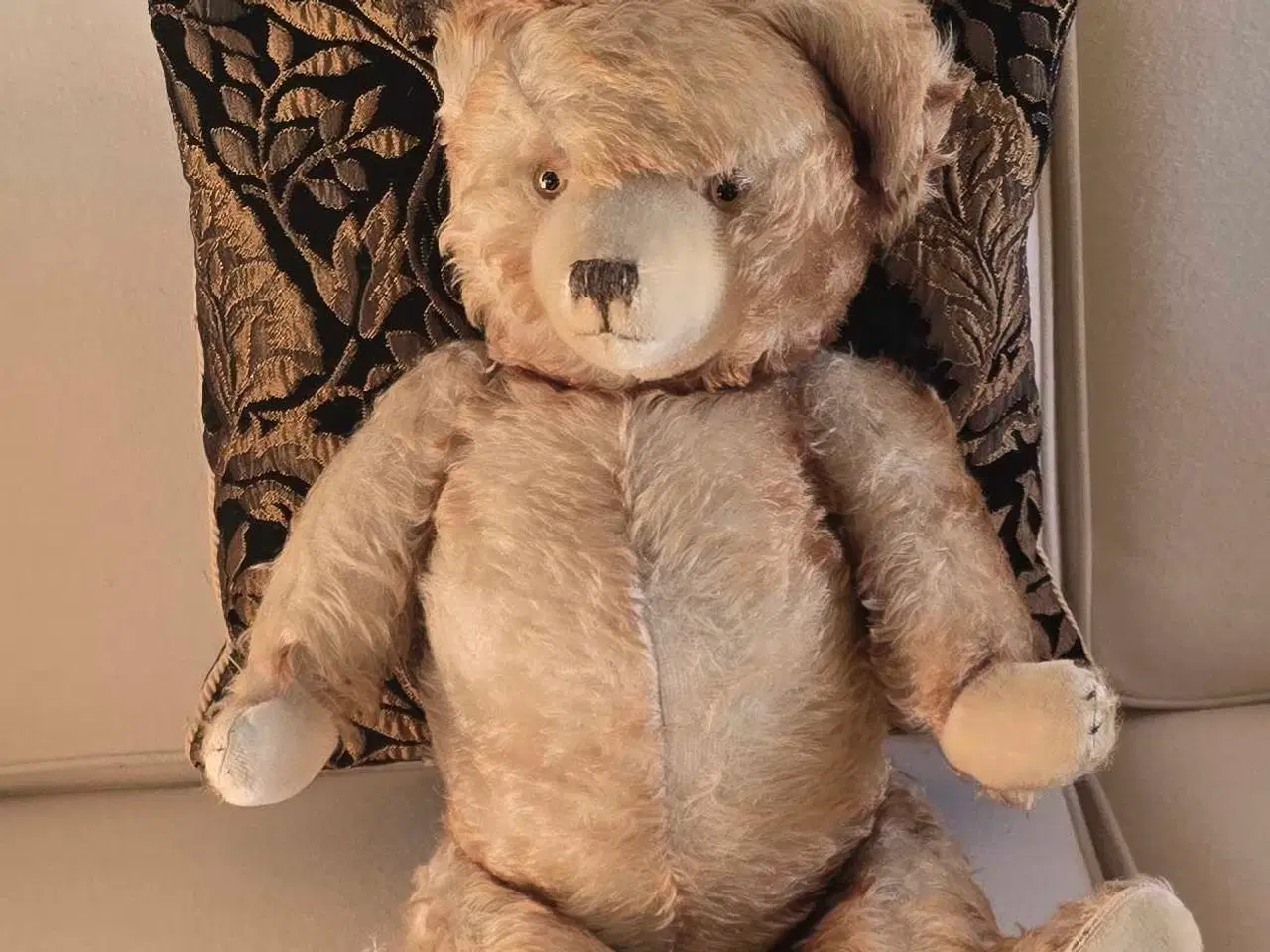 Billede 1 - Meget gammel bamse der giver lyd fra sig