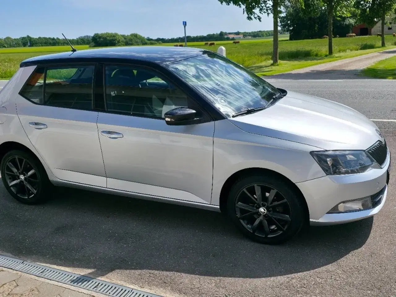 Billede 8 - Skoda Fabia 1,2 TSi 90 Active