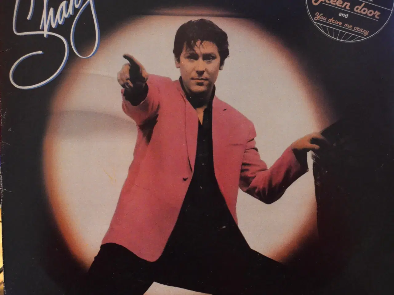 Billede 4 - LP plader sælges.