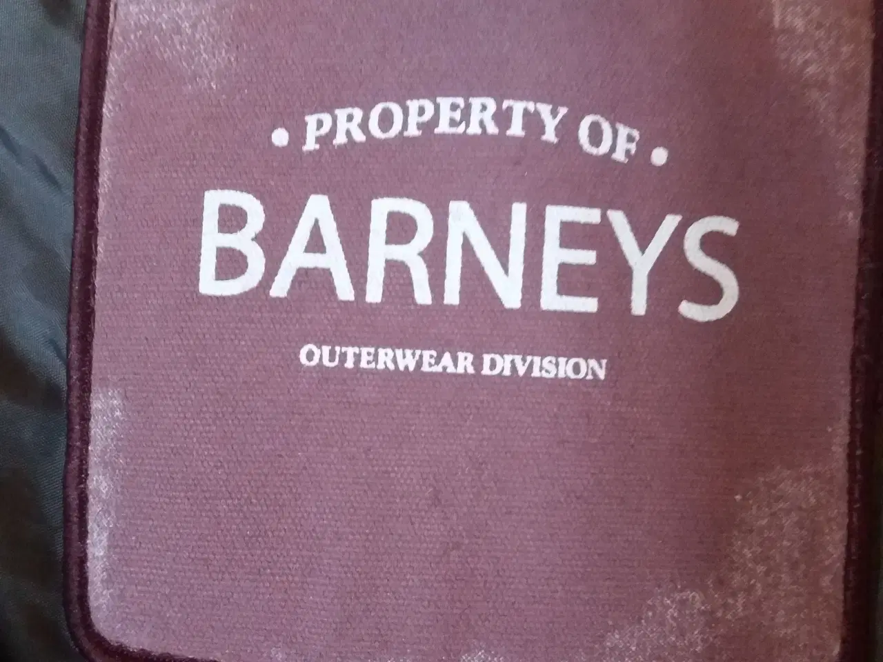 Billede 3 - Barneys Vinterjakke med aftageligt plys for