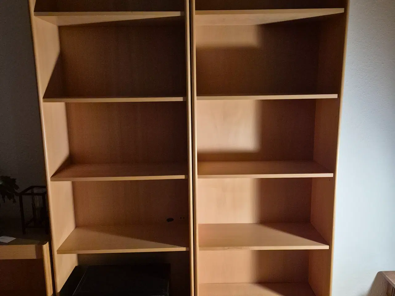 Billede 3 - 2 Botium reoler / bogreoler