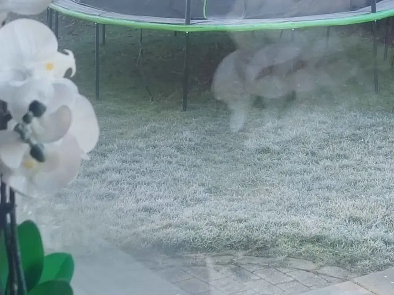 Billede 3 - STOR TRAMPOLIN 385