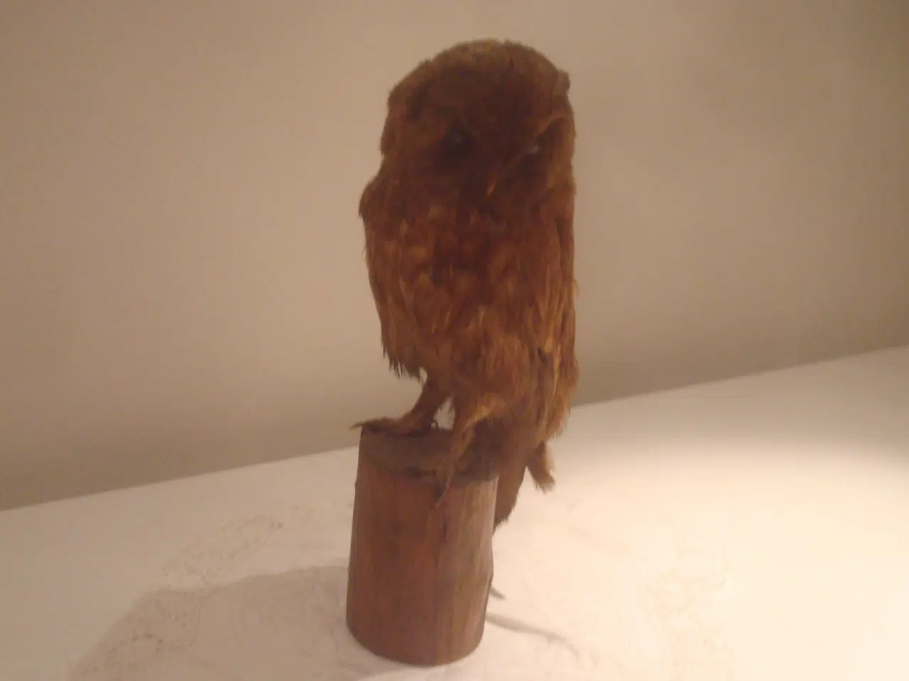 Billede 2 - UGLE, ret stor, flot farve - utrolig skønt udtryk 