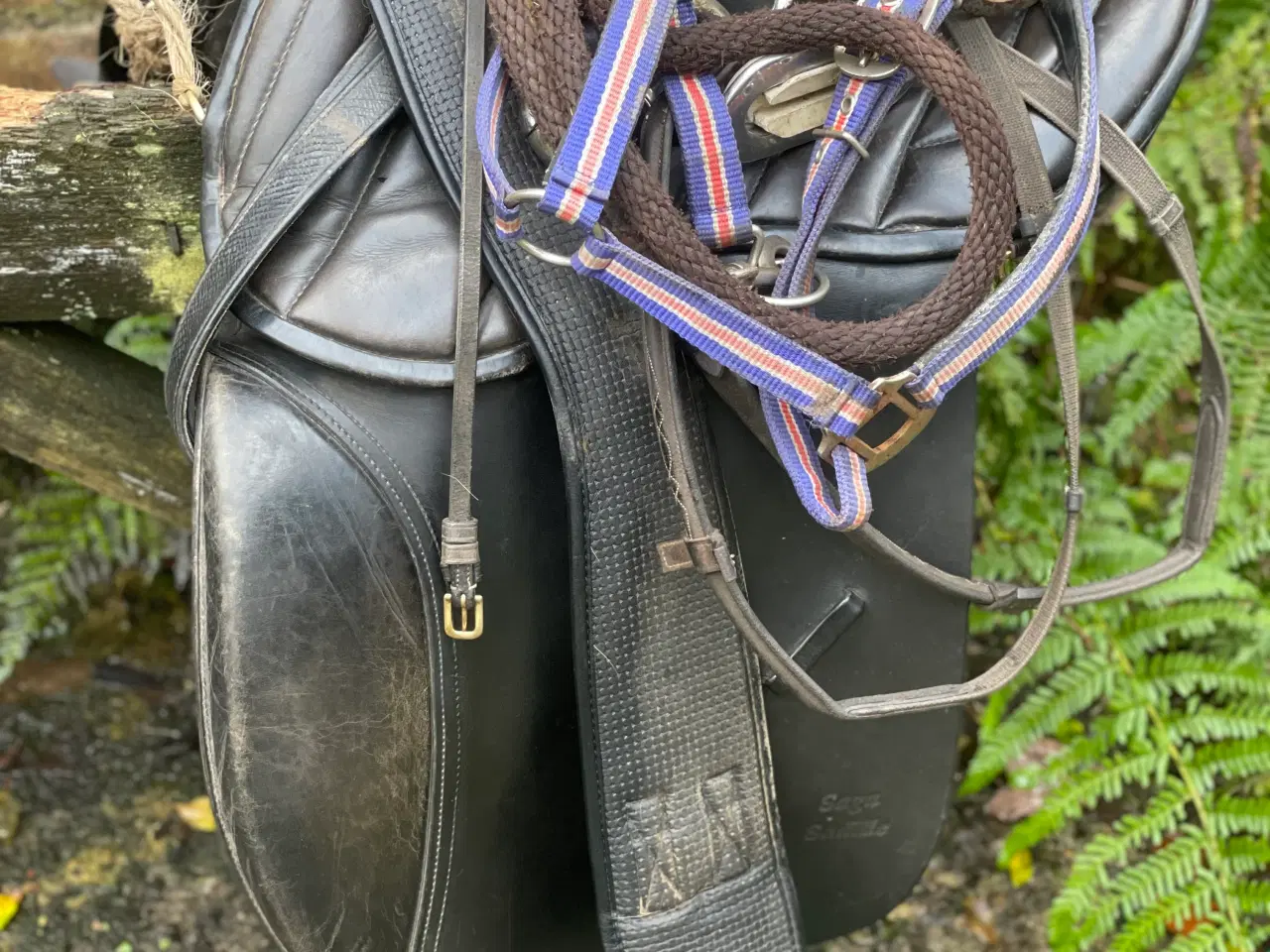 Billede 12 - Tøltende Skovturs- / Konehest