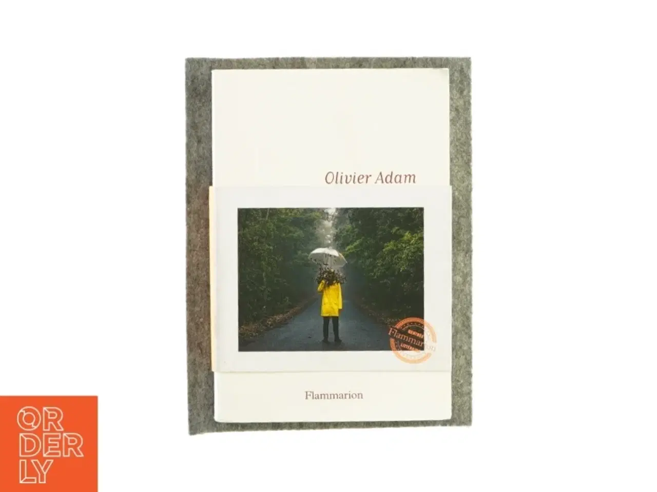 Billede 1 - Flammarion af Olivier Adam (bog)
