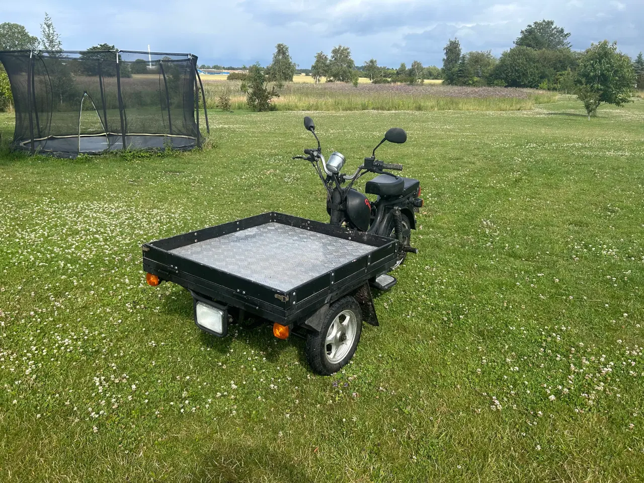Billede 1 - Grålle ladknallert