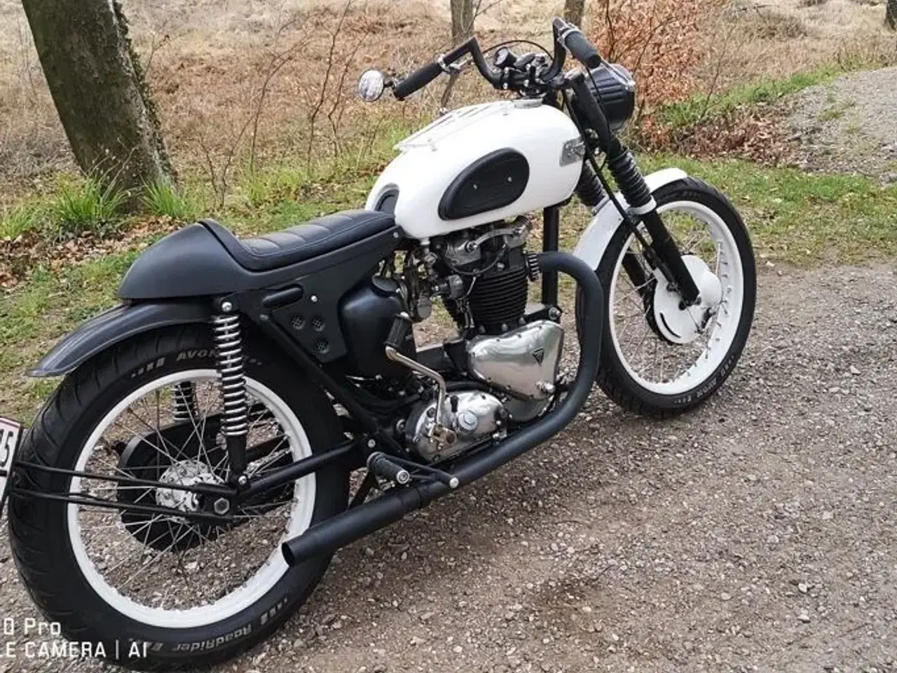 Billede 12 - Triumph
