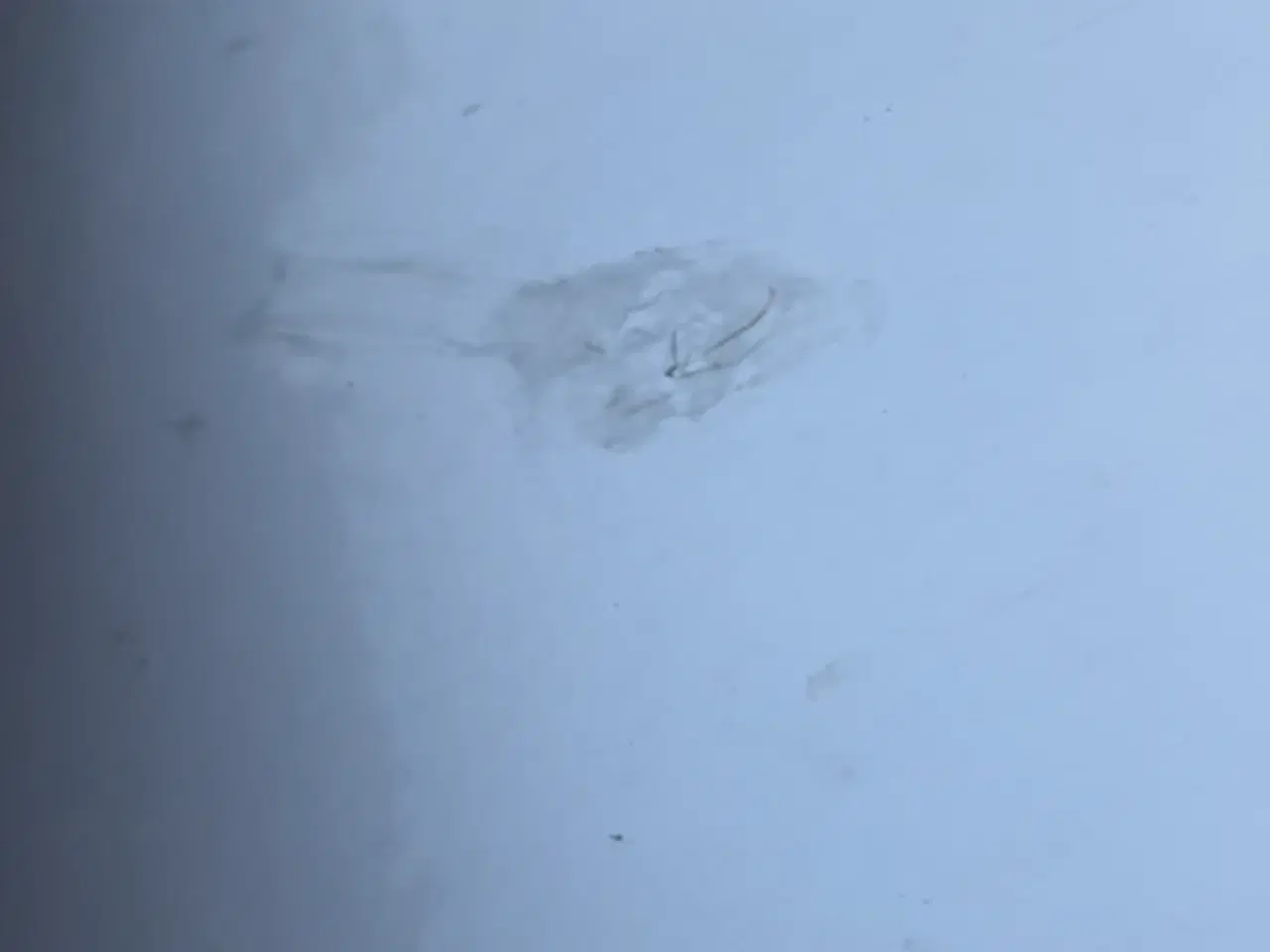 Billede 9 - VW polo fra 2010