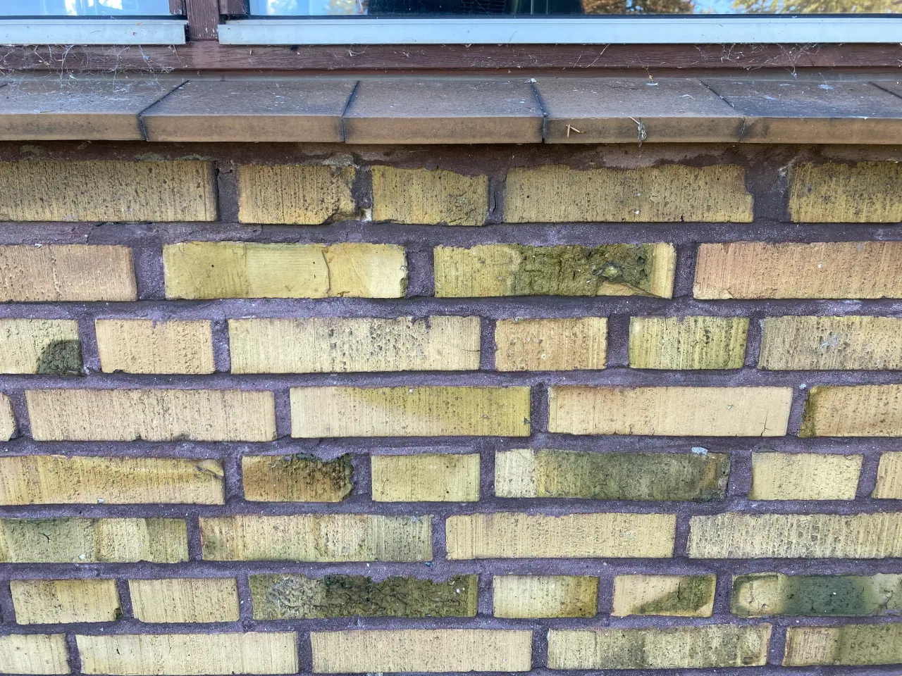 Billede 2 - Søger gule børstede mursten 