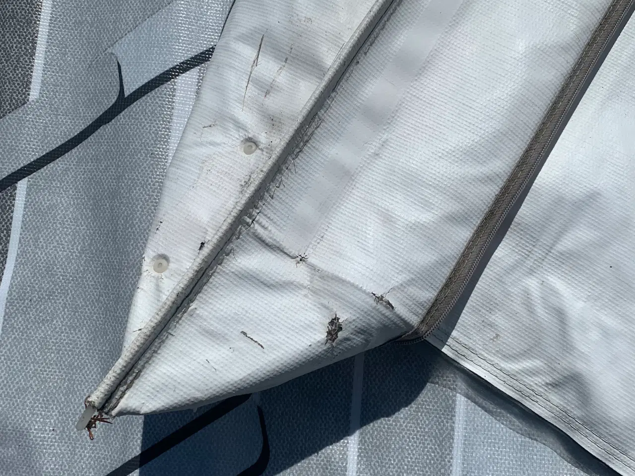 Billede 5 - Fiamma Caravanstore Zip 360 cm. posemarkise