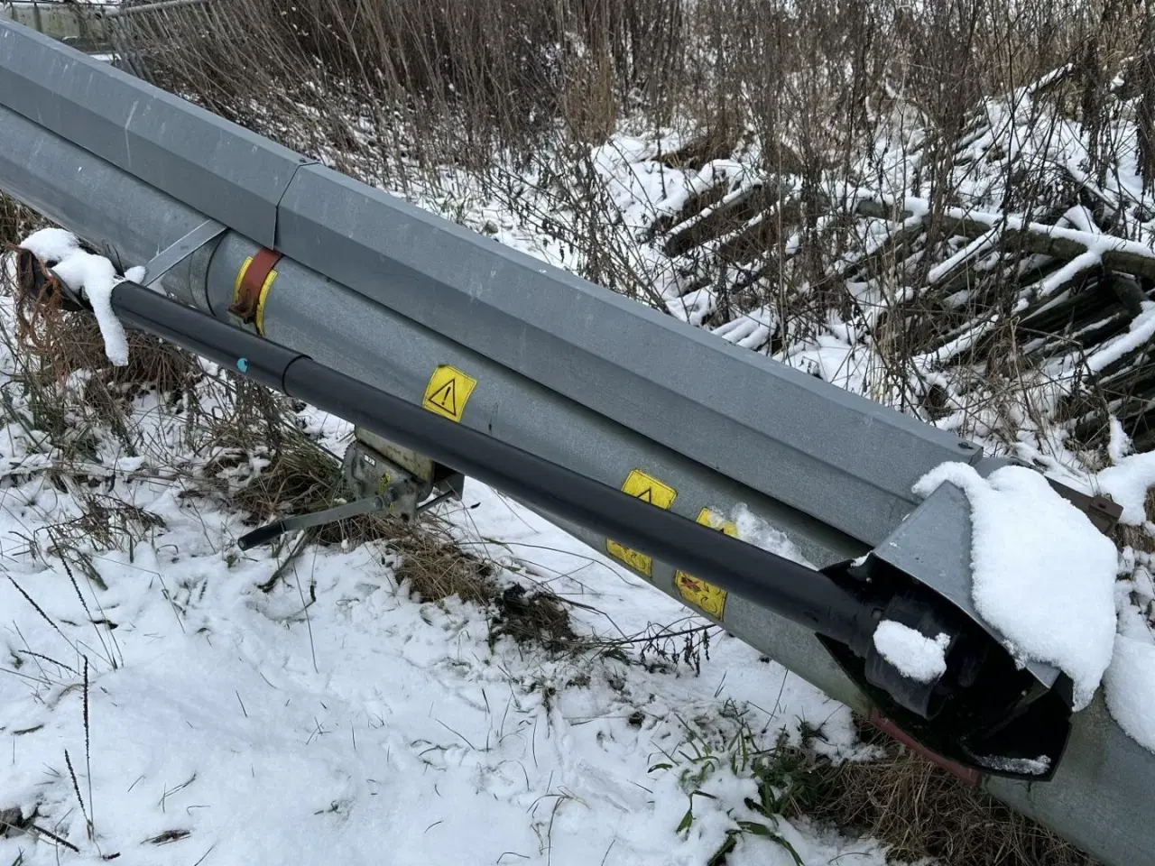 Billede 3 - Hutchinson kornsnegl