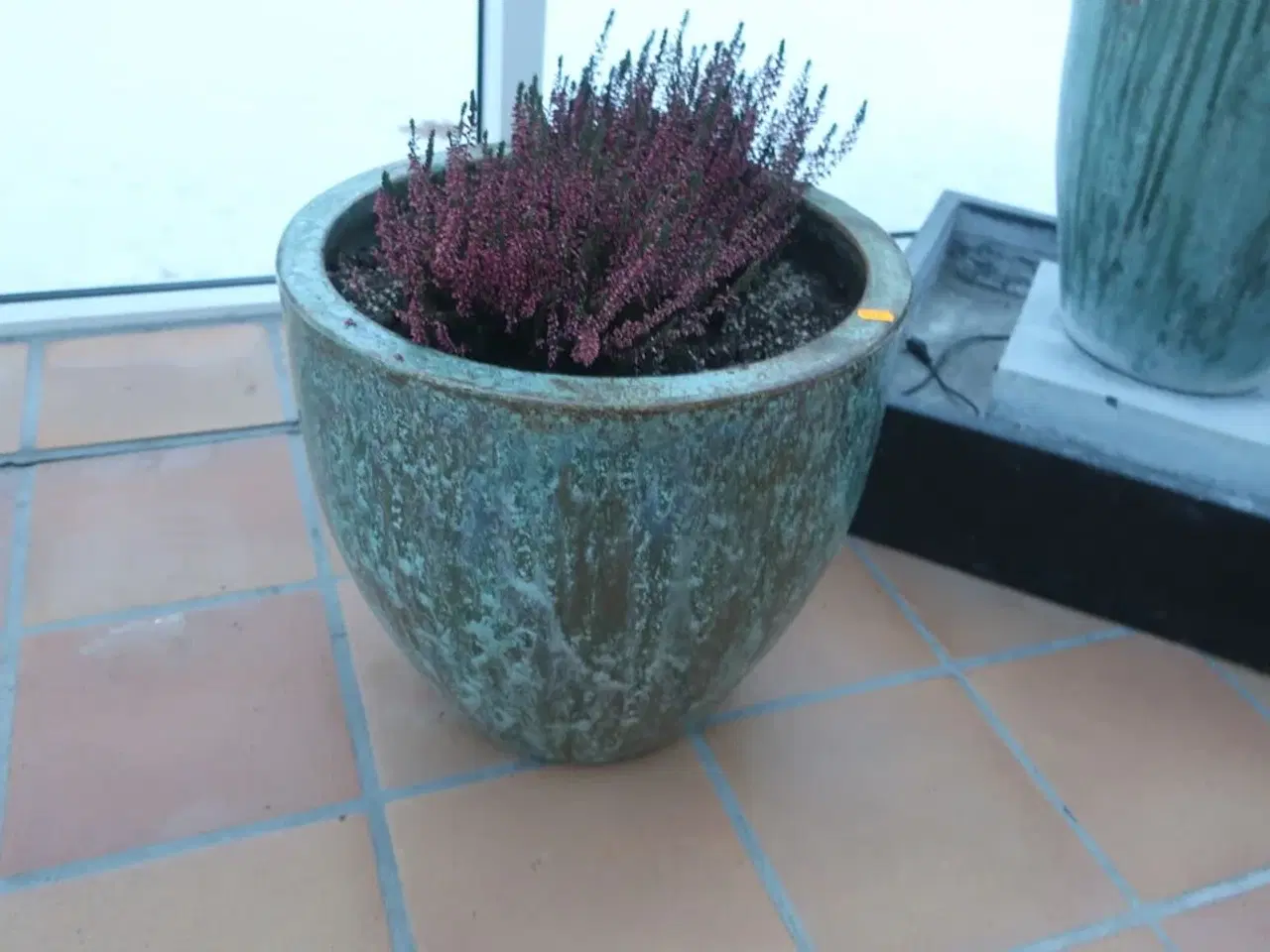 Billede 1 - Krukke med plante