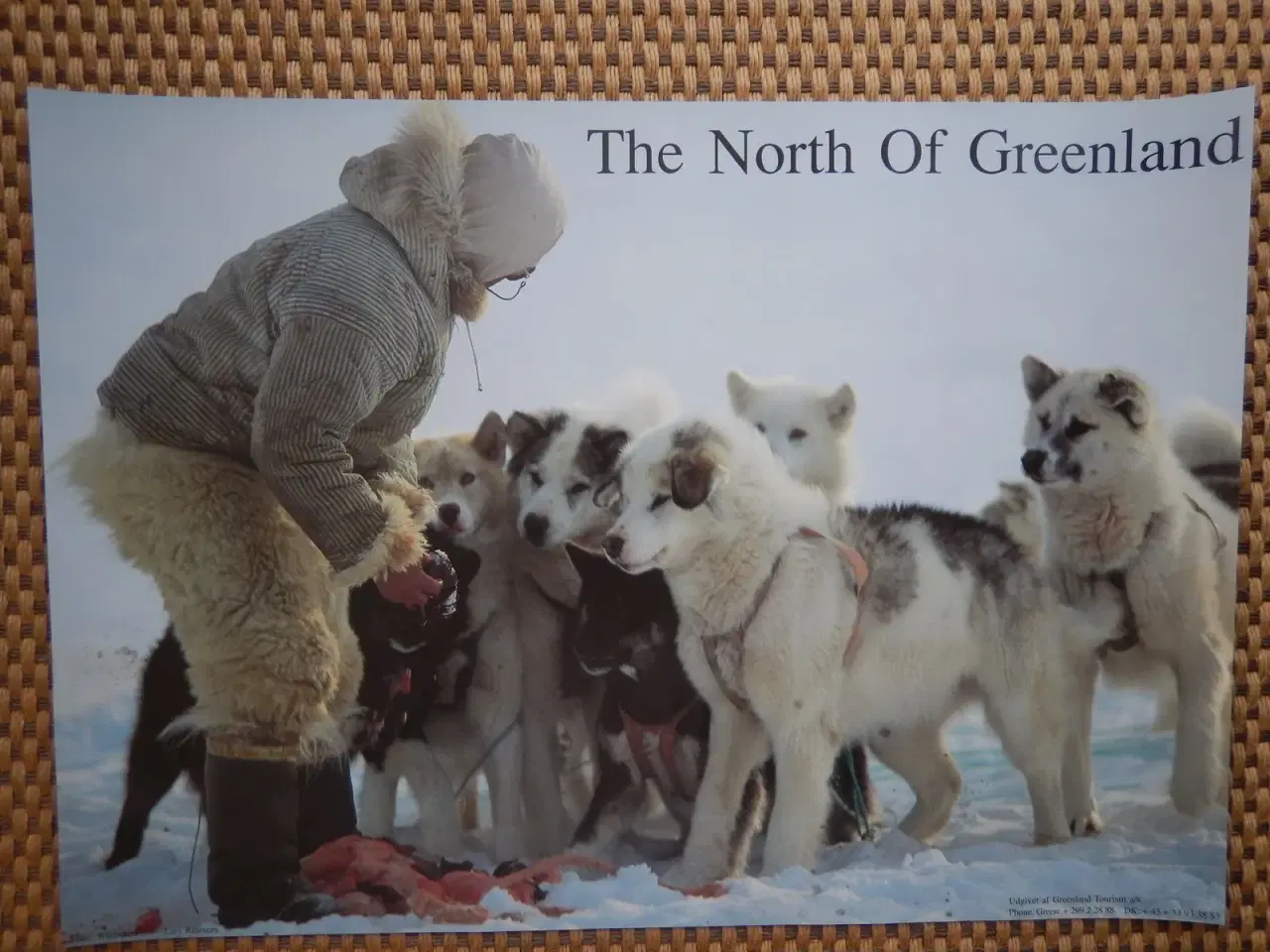 Billede 1 - Plakat fra Qaannaaq i Grønland