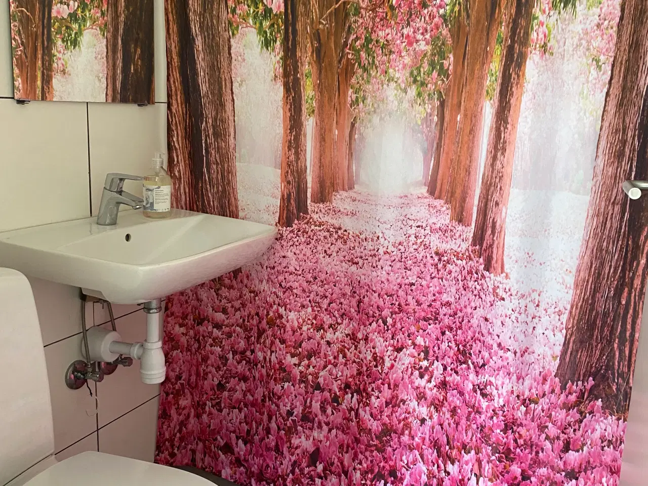 Billede 3 - Odenses hyggeligste kolonihave til salg 🌿