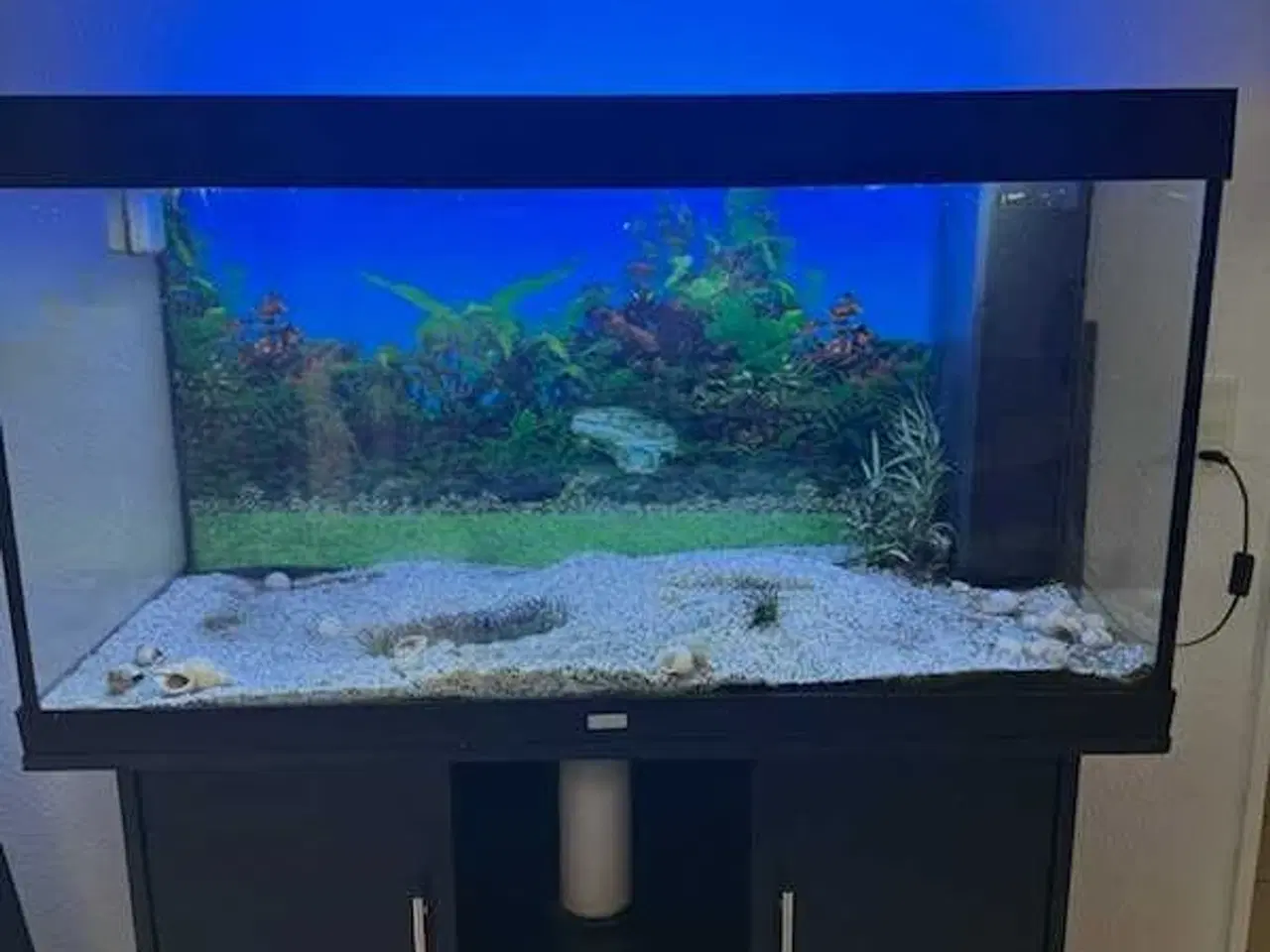 Billede 3 - Akvarier 350L 