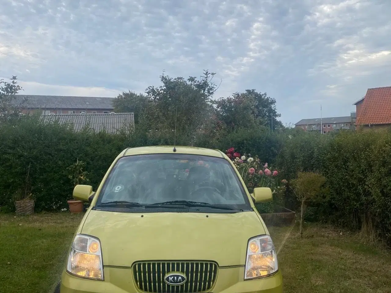 Billede 1 - Kia Picanto