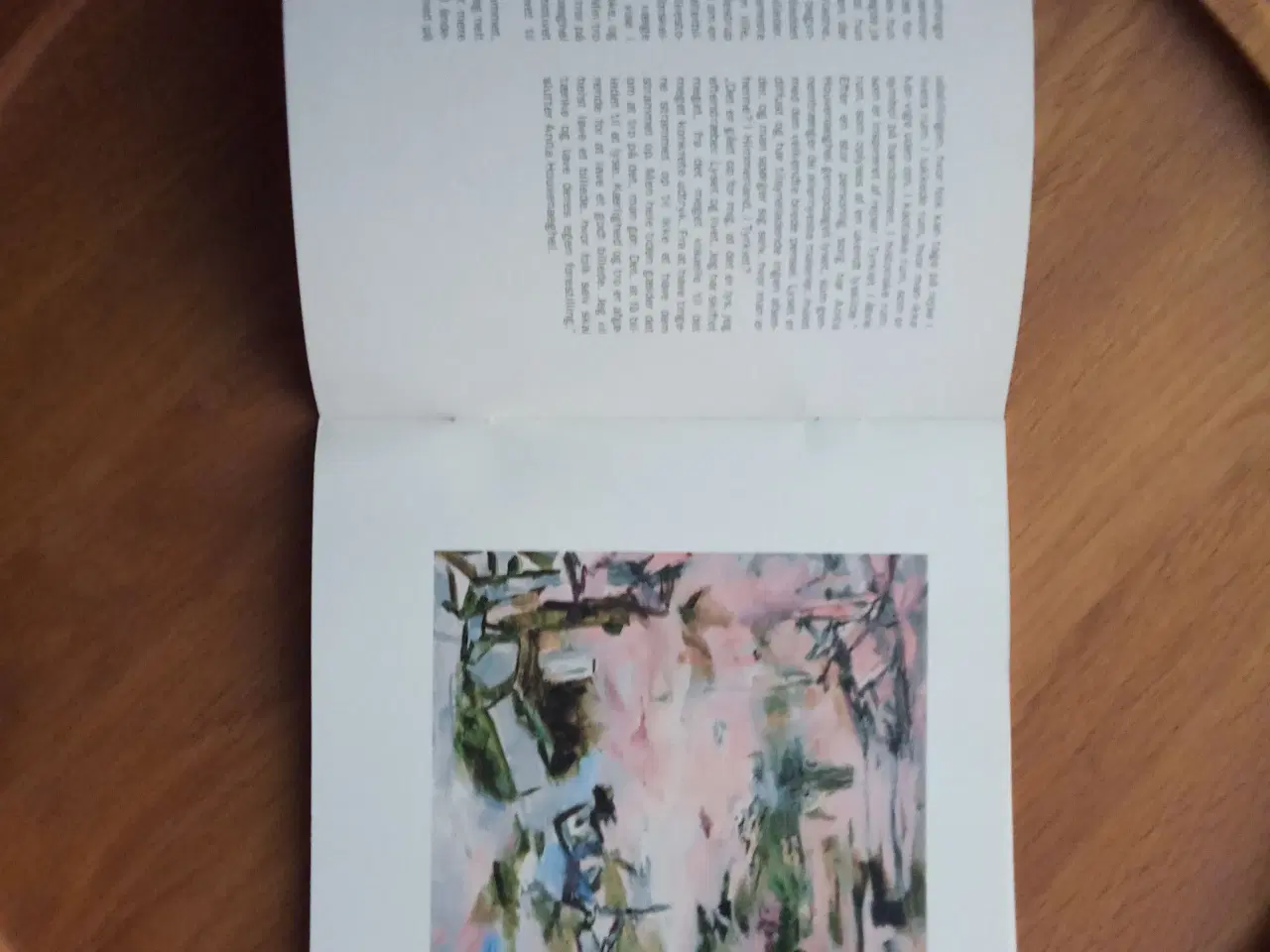 Billede 5 - Kunstbøger mv. om Anita Houvenaeghel