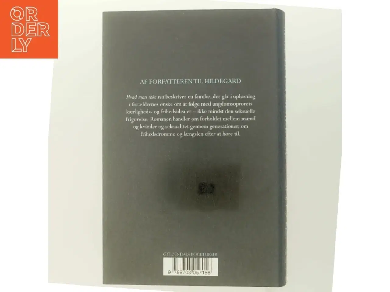 Billede 3 - Hvad man ikke ved : roman af Anne Lise Marstrand-Jørgensen (Bog)